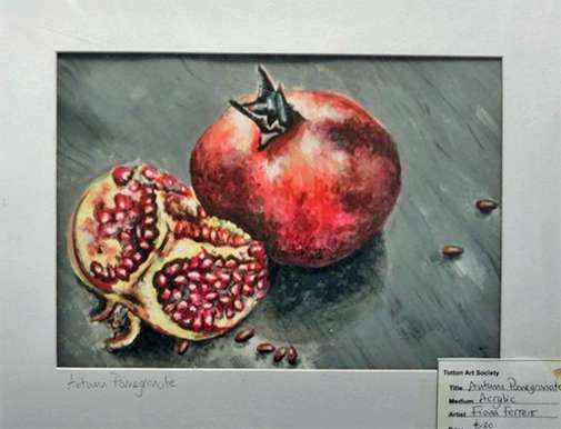 Autumn Pomegranate by Fiona Ferrero