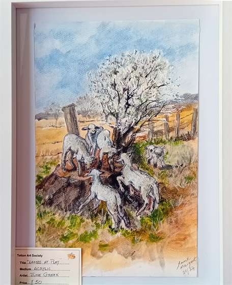 Lambs at Play by June Green