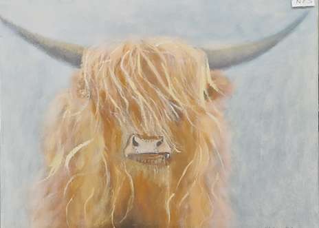 Highland Cow by Claire Palmer
