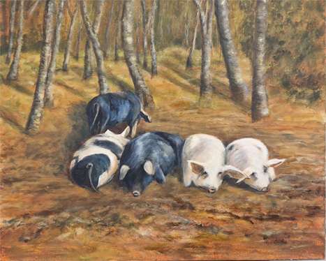 Pigs in the New Forest by Jill Gillespie