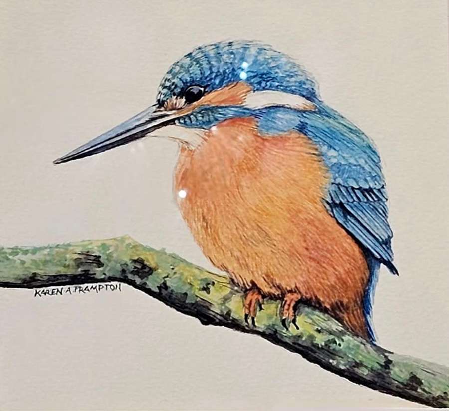 Kingfisher by Jill Gillespie