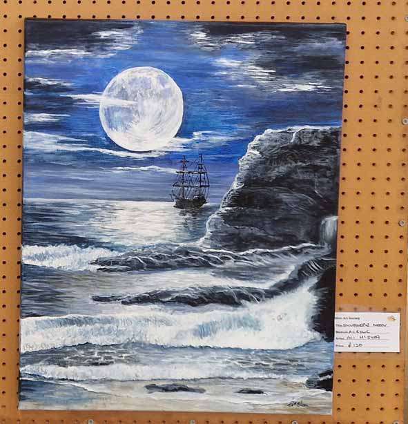Smugglers Moon by Ali McShea