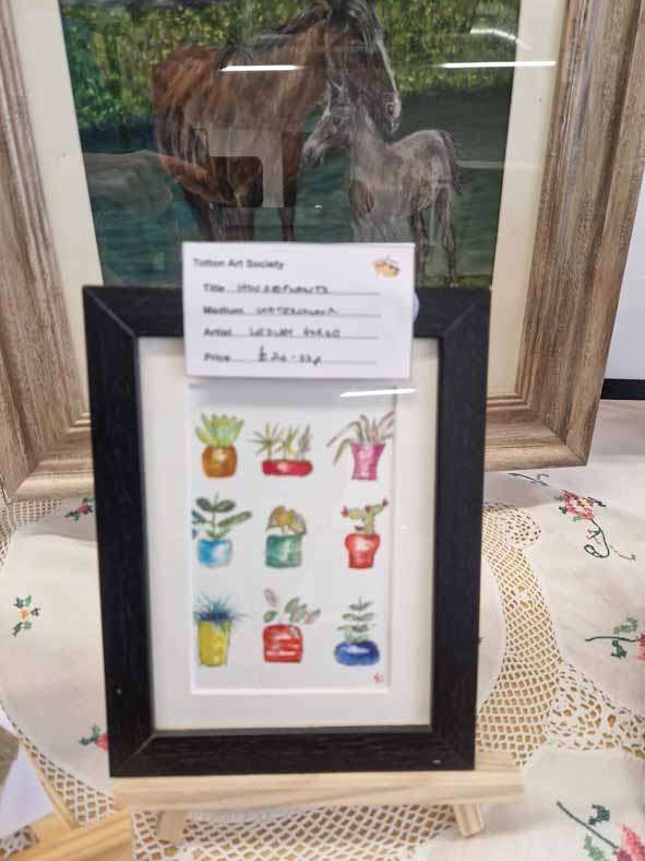 House Plants by Lesley Gorse