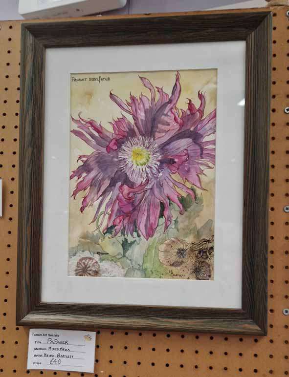 Papaver by Helen Bartlett