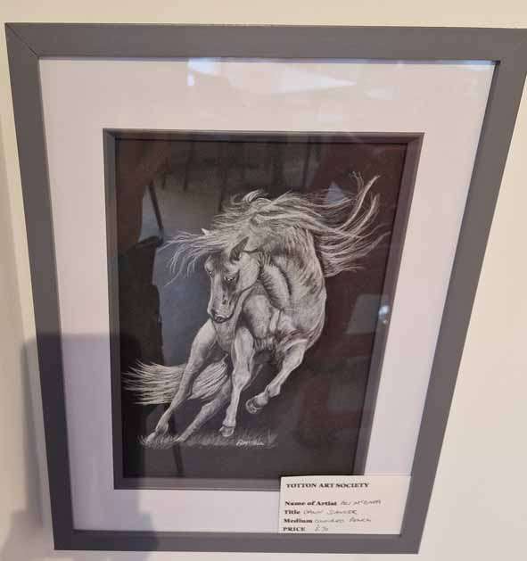 Dawn Dancer by Ali McShea