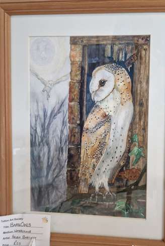 Barn Owls by Helen Bartlett