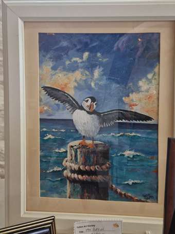 I'm Puffin by Sarah Davis