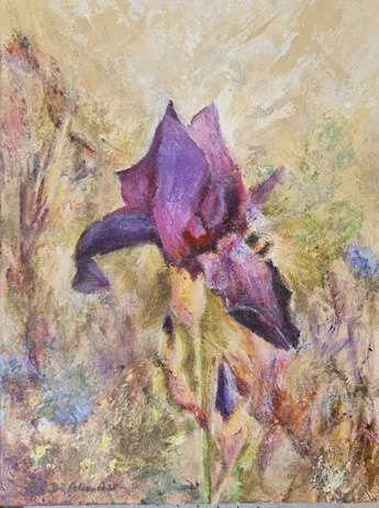 Iris by Di Alexander