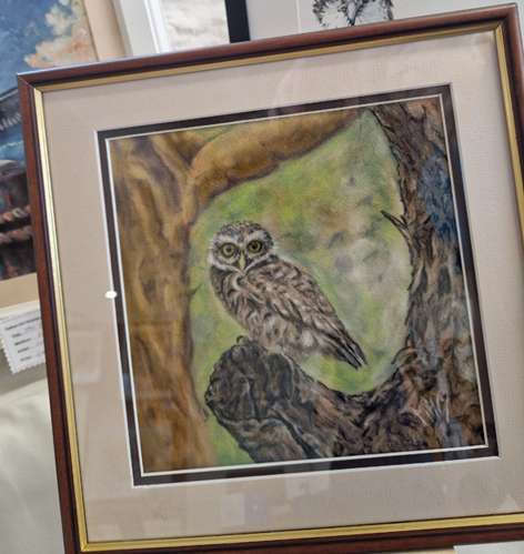 A painting of a Little Owl