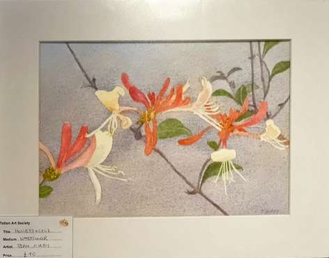 Honeysuckle by Jean Kirby