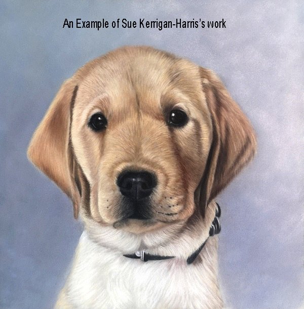 An example of Sue Kerrigan-Harris's work